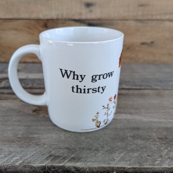 Vintage 90s 10 oz Coca-Cola "Why Grow Thirsty" mug - Picture 3 of 6